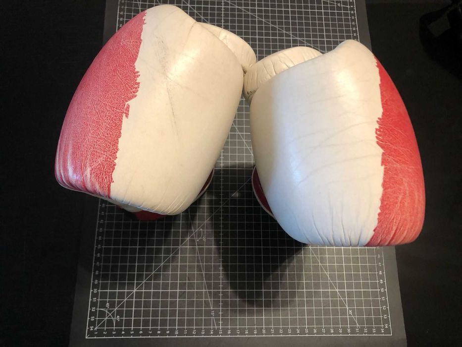 Luvas de Kickboxing e Muay Thai Fairtex