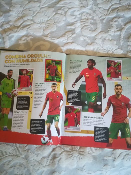 Panini Fome de vender caderneta completa