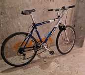 Rower Giant rama 19,5