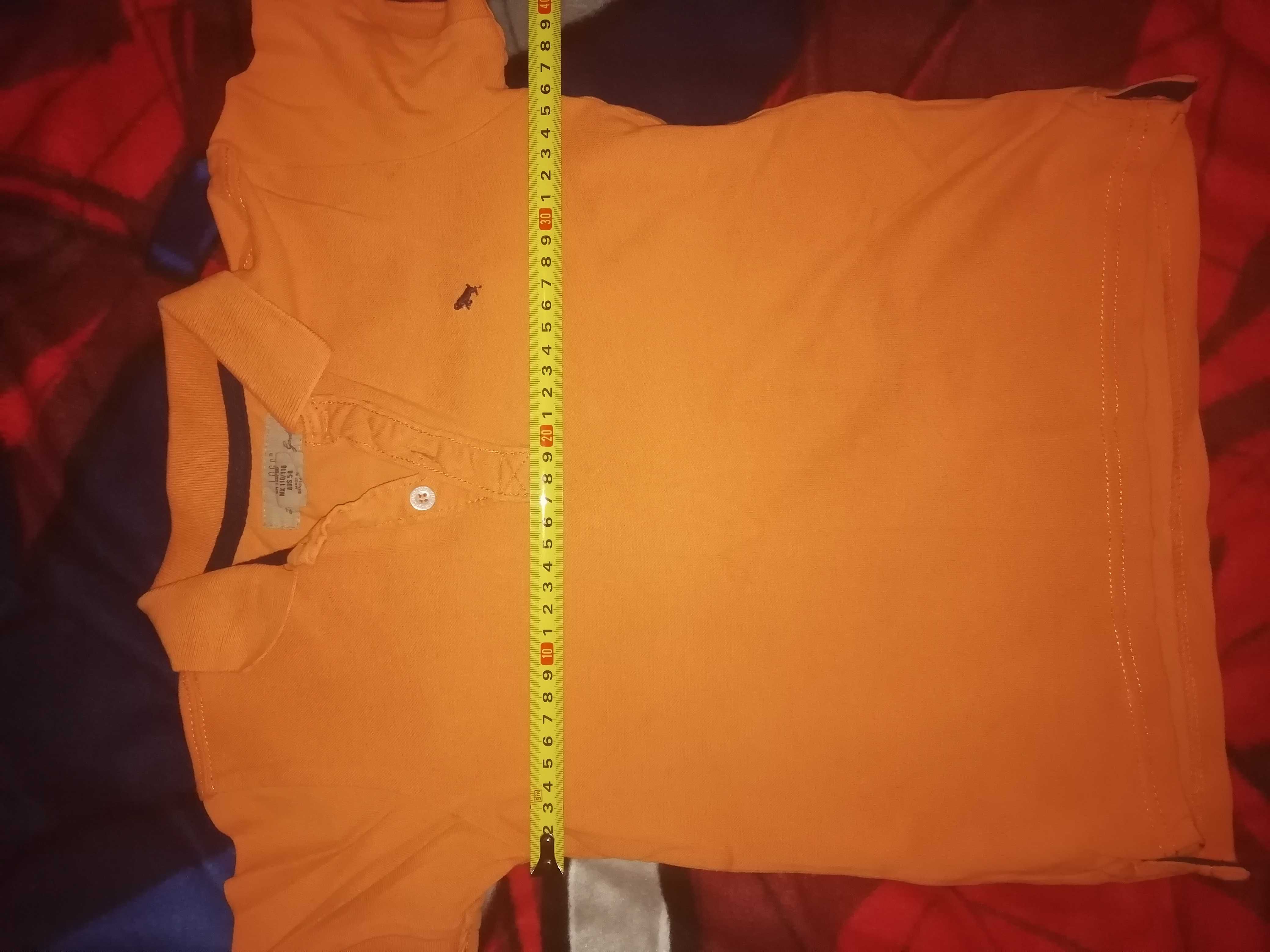 Bluzka polo chłopięca H&M roz.110/116 wiek 5/6 lat