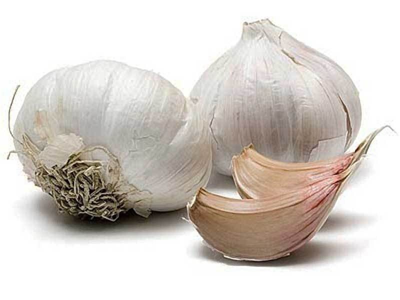 Часник домашній...