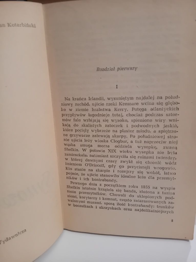 Synowie Pat George Bidwell dzieje Irlandii