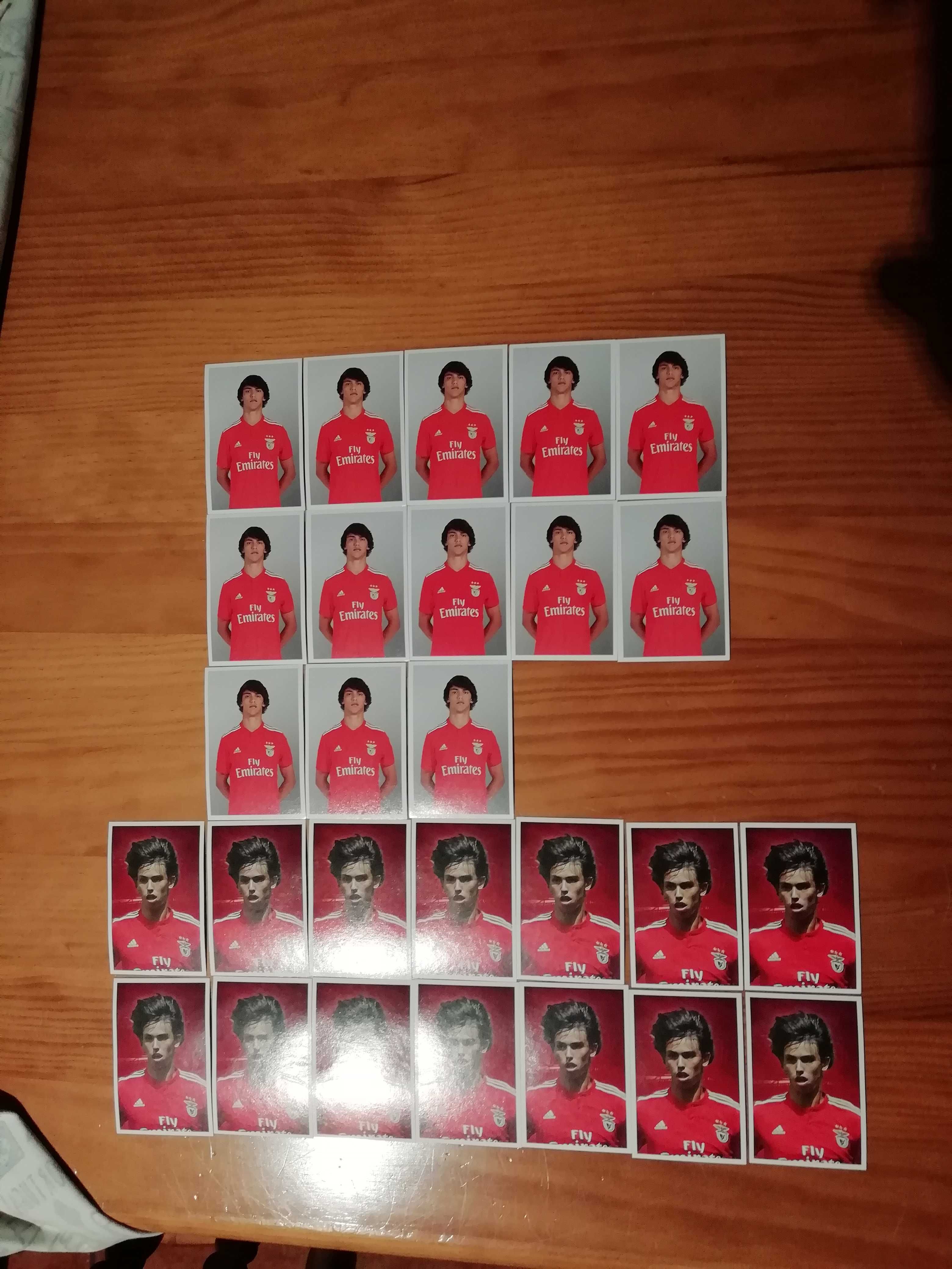 Cromo JOÃO FELIX SlBenfica Record 2018/19