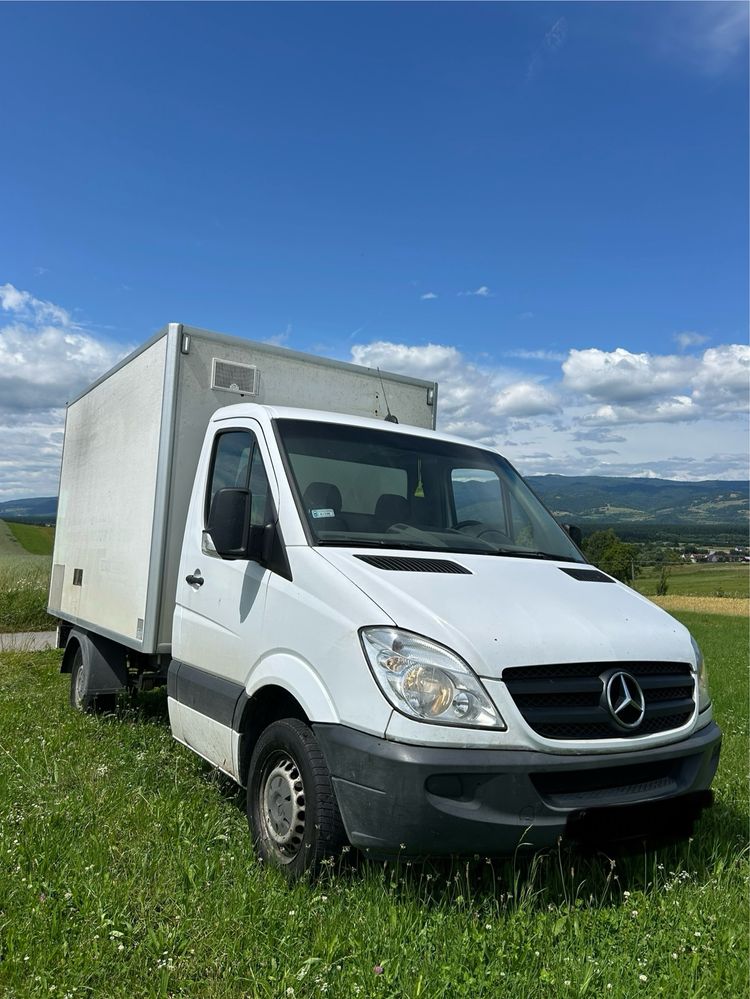 Mercedes-benz sprinter 313 CDI Renault , Volkswagen, Fiat