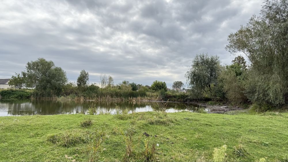 Продаж землі біля лісу та озера село Забороль