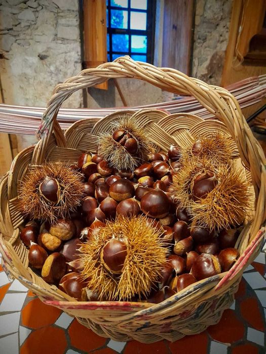 Castanhas biológicas