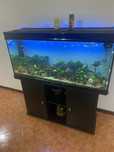 Vendo aquario todo completo