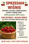 Sprzedam dorodne wiśnie – zrywka we własnym zakresie!
