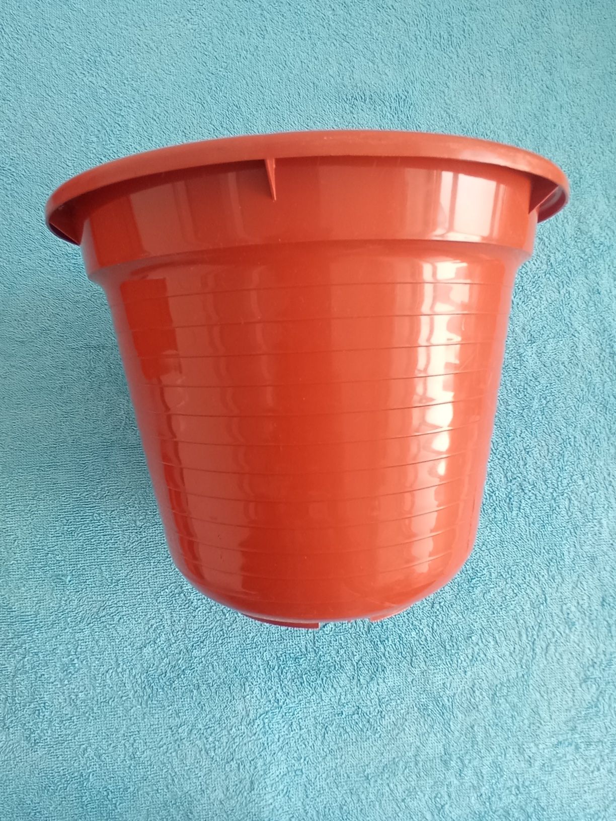 Vasos para plantas de médio porte