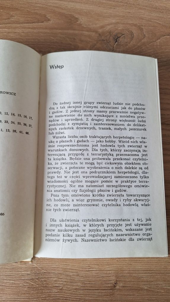 Zwierzęta w terrarium Cyryl Przybyszewski