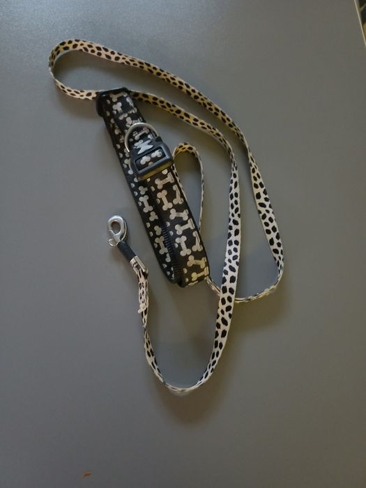 Повідець для собаки