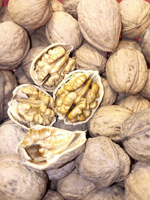 Волоські СОЛОДКІ Горіхи нечищені з власного саду (від 5 кг) 2024 р.