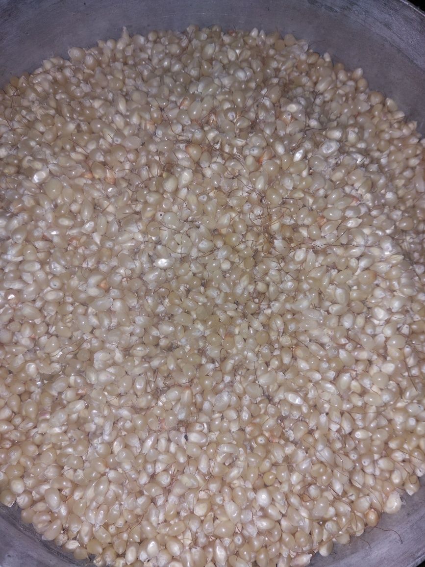 Продам поп корн в зернах