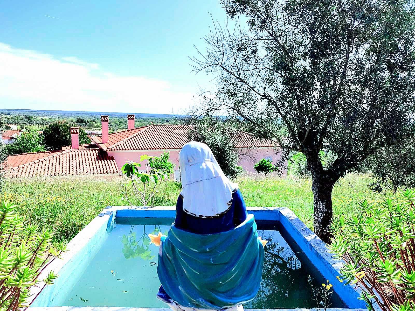 Refúgio de sonho em Portalegre! Quinta com Moradia de Charme!!
