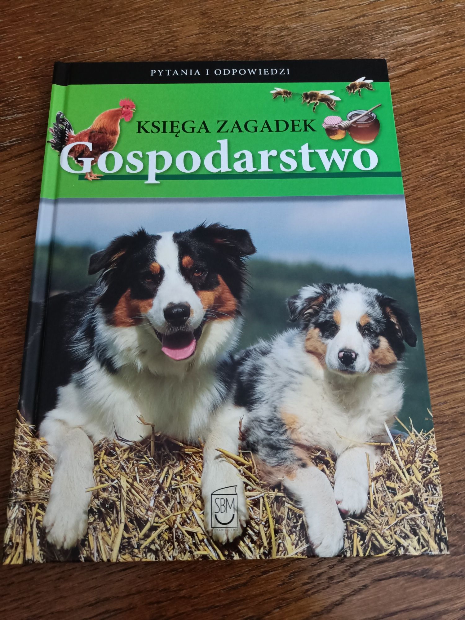 Książka Gospodarstwo