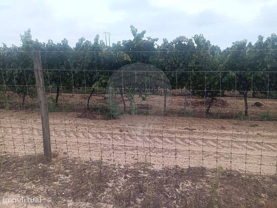 Terreno  para venda