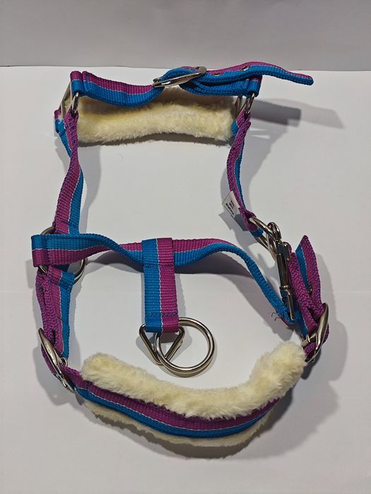 Turkusowy Pasek Dla Kucyka Szetlandzkiego Z Wykończeniem Z Futra