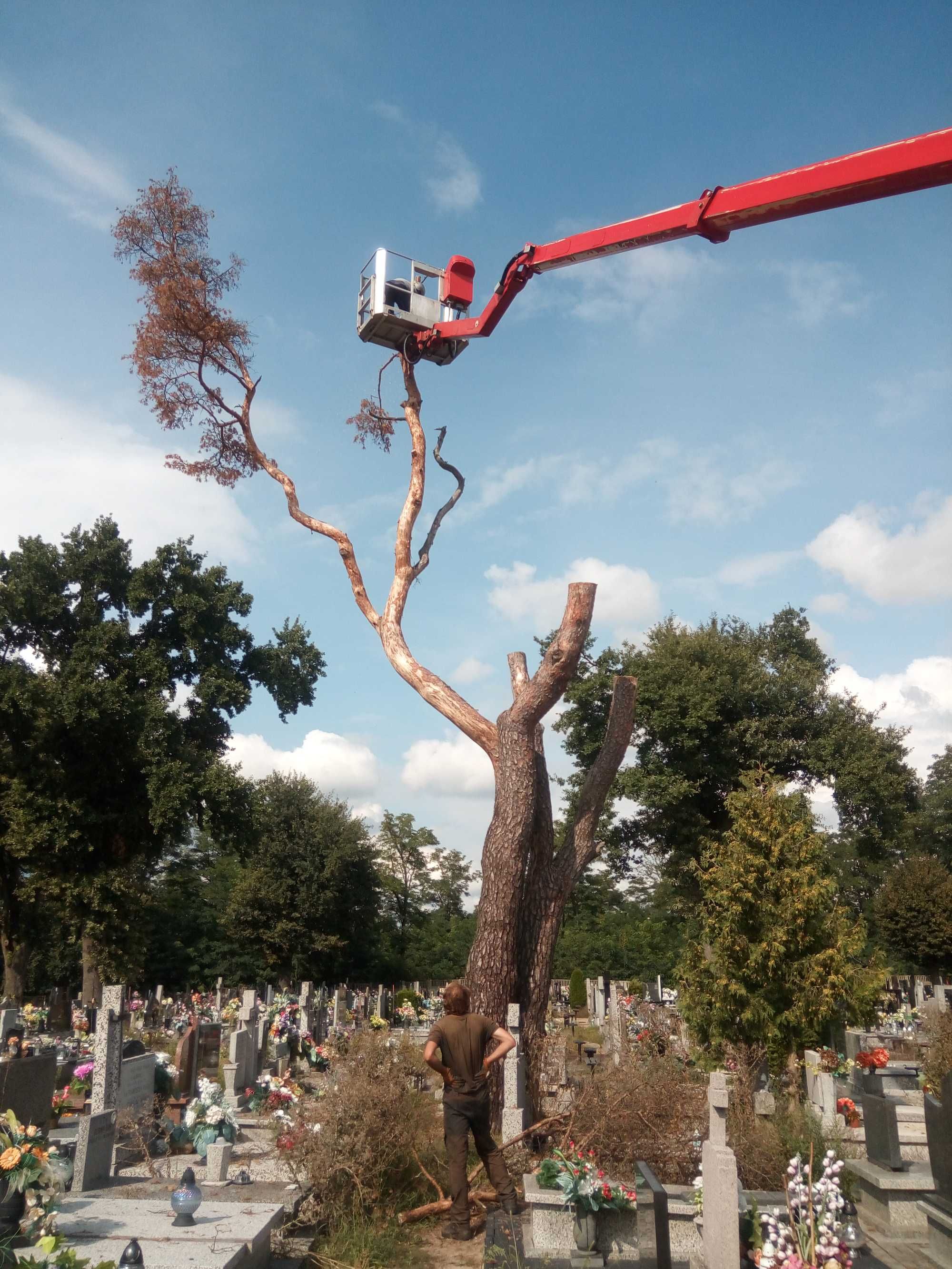 Wynajem podnośników koszowych , prace na wysokości .