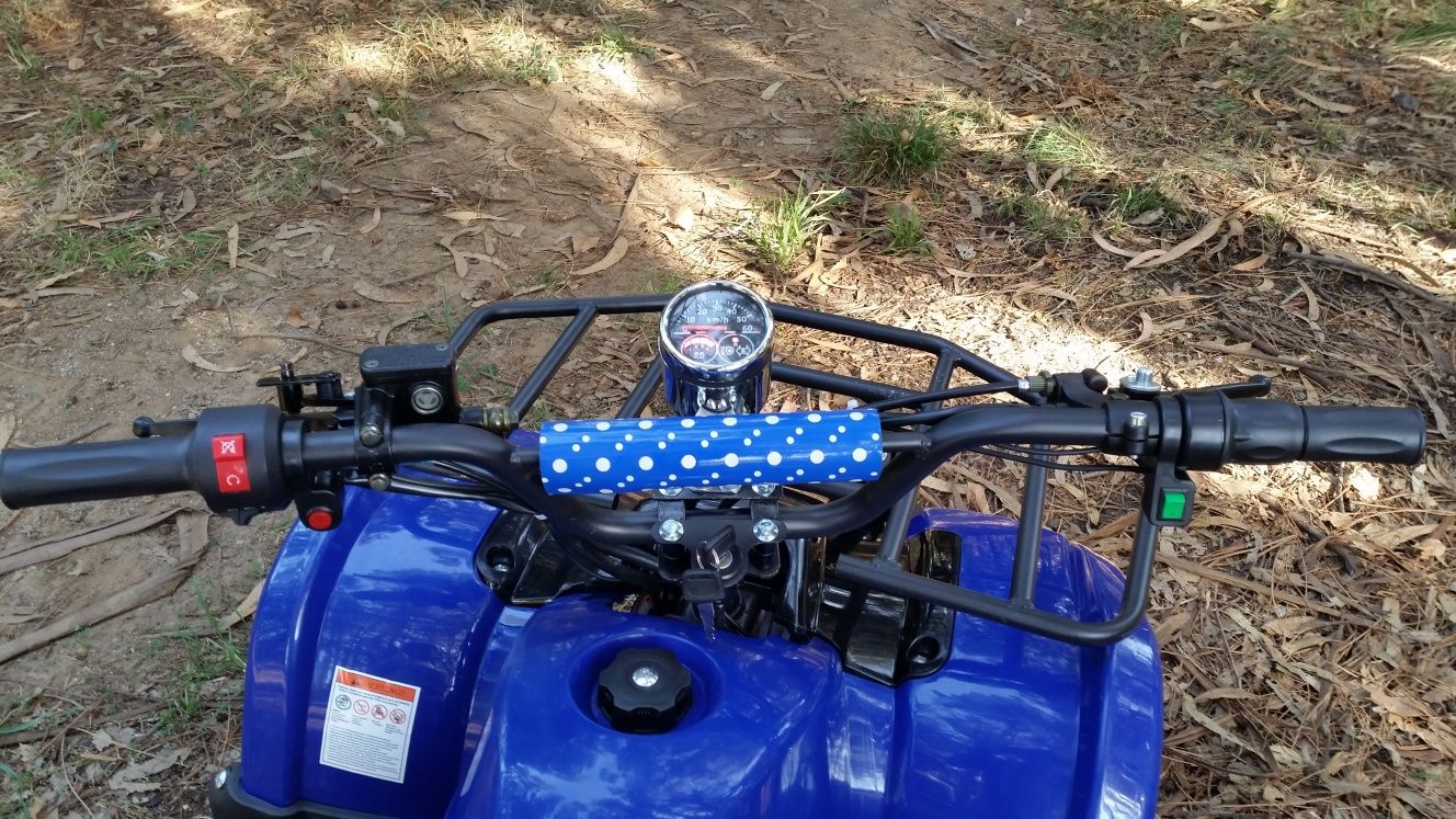 Mini mota quad eléctrica moto 4 ATV elétrica 1000W 48V várias cores