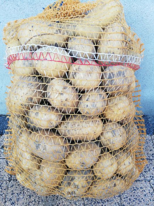 Ziemniaki jadalne smaczne od rolnika Soraya Gwiazda Tajfun Rosalind