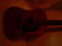 viola acústica de 12 cordas