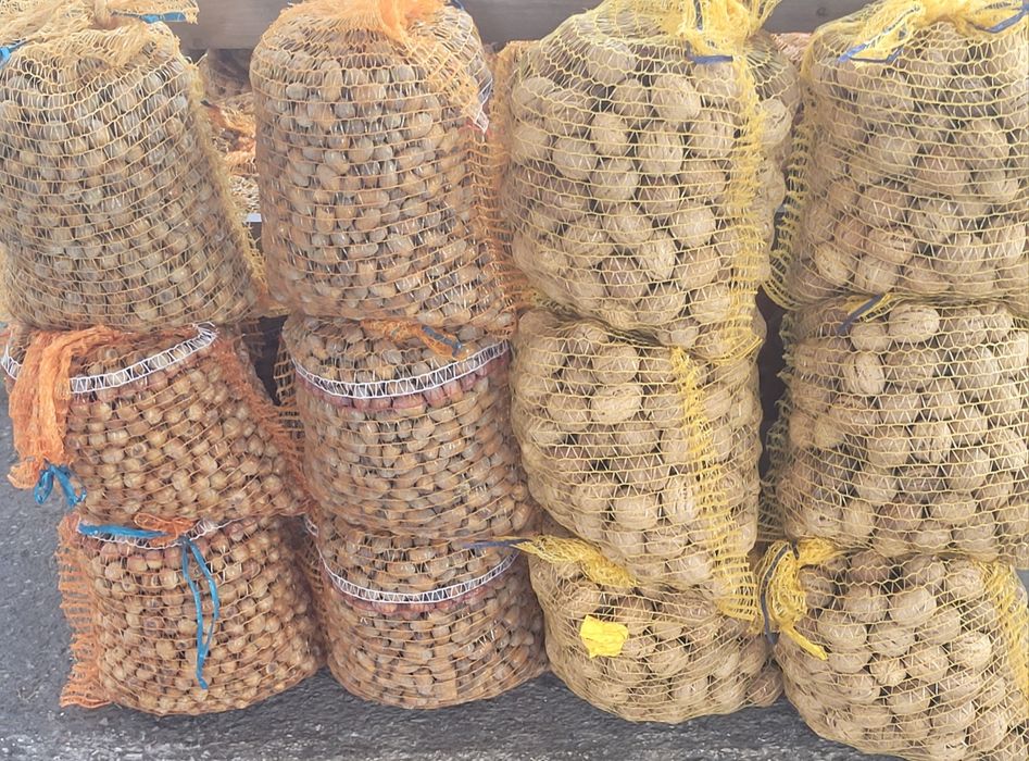 Orzechy włoskie, laskowe oraz orzechy włoskie łuskane.