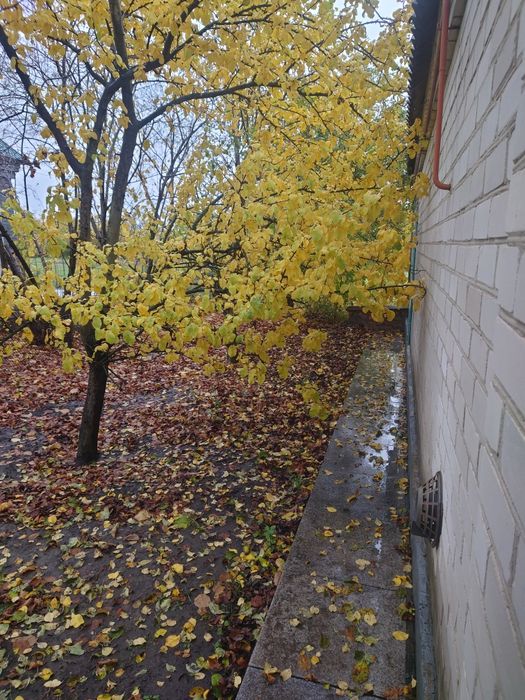 Продам дом в с.Аполлоновка Днепропетровской обл.