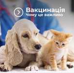 Виїзна вакцинація тварин — АКЦІЯ!