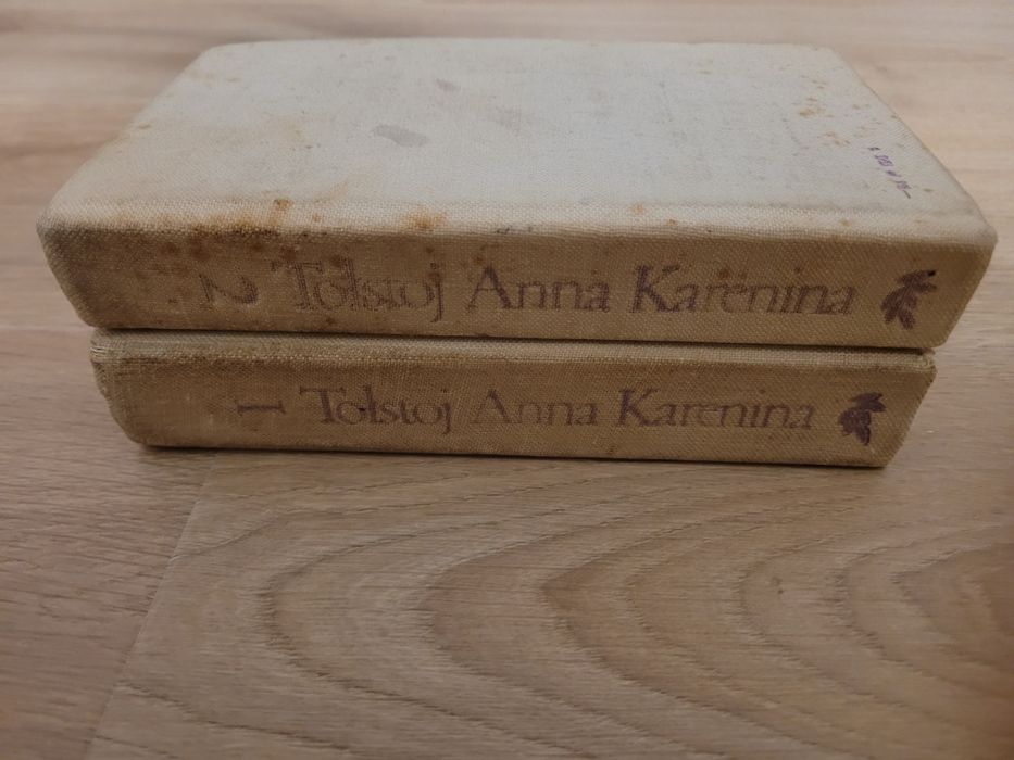 Lew Tołstoj Anna Karenina