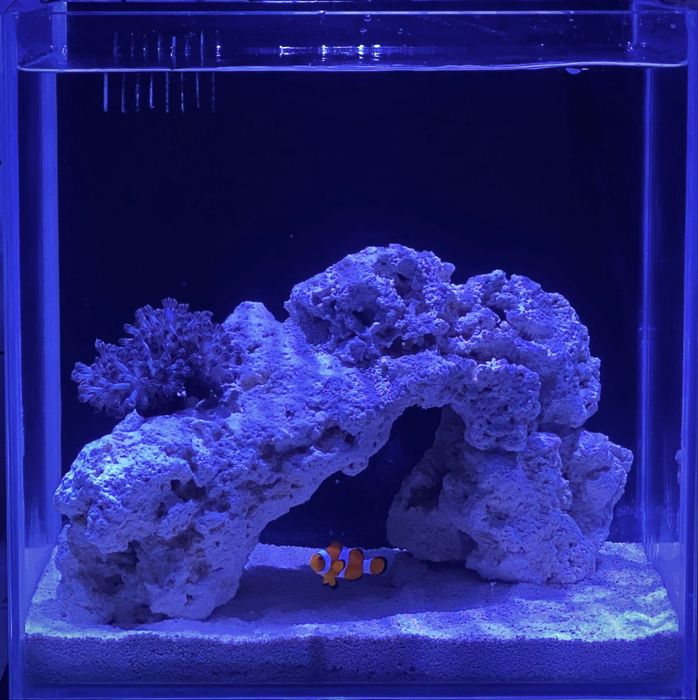 Aquário Cubo 30x30 Com Sump Traseira