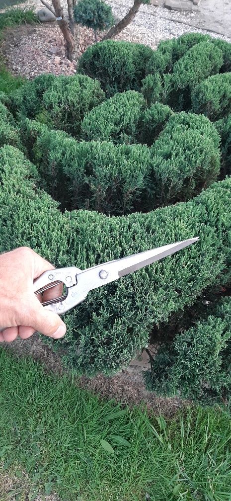Ножницы для топиарной стрижки сада