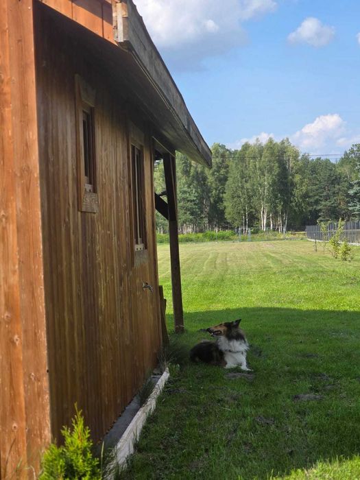 Działka z drewnianym domem w Bartnikach   ul. Parkowa