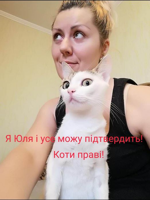 Віддам собаку безкоштовно Тамерлан