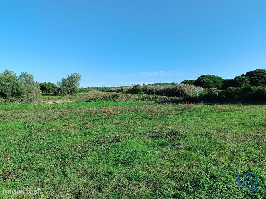 Terreno em Sesimbra (Castelo) de 15600,00 m2