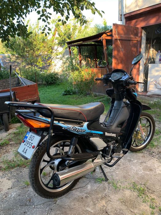 Musstang Active MT 110-3