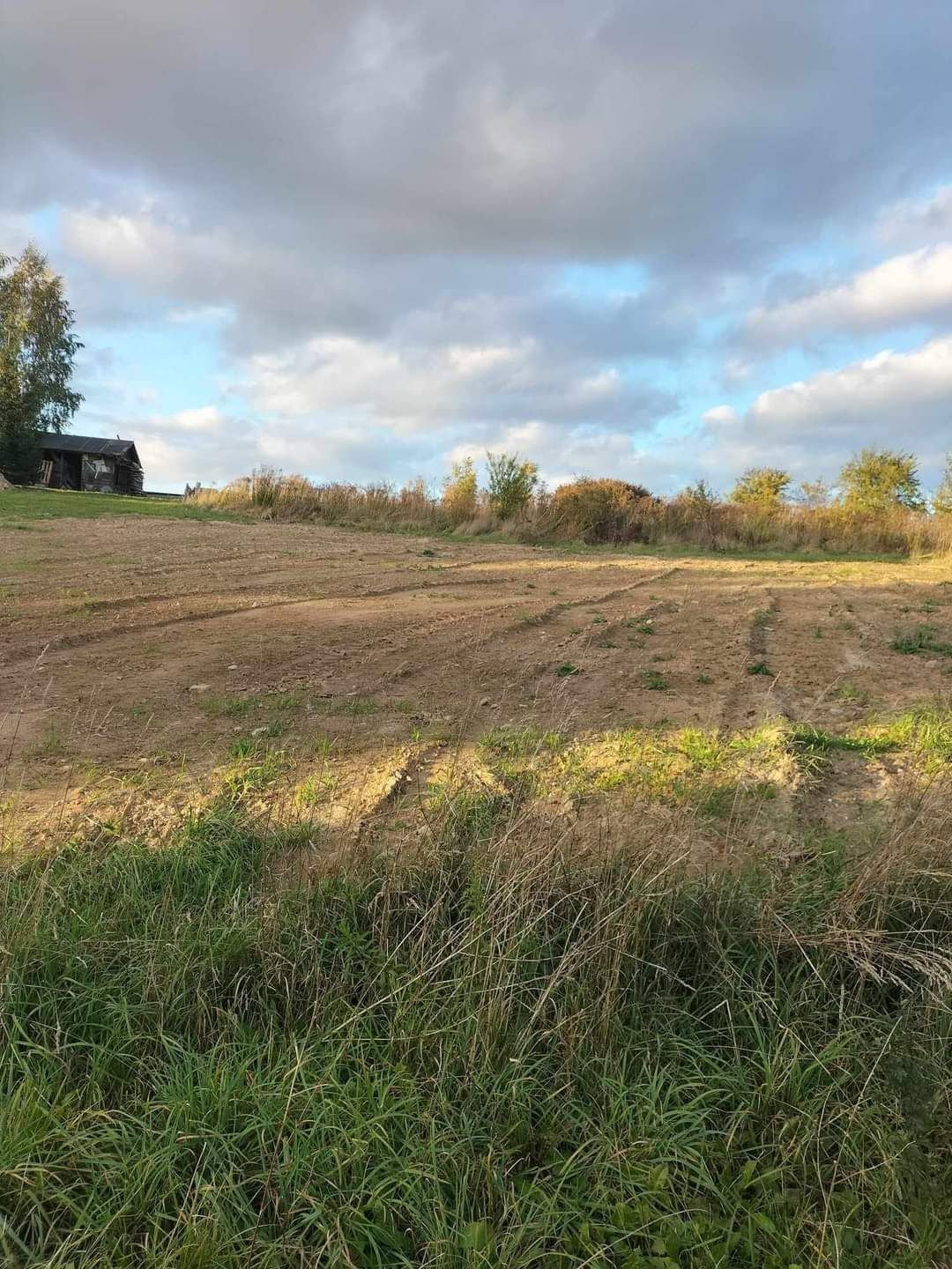 Działka budowlana Dzierzgoń