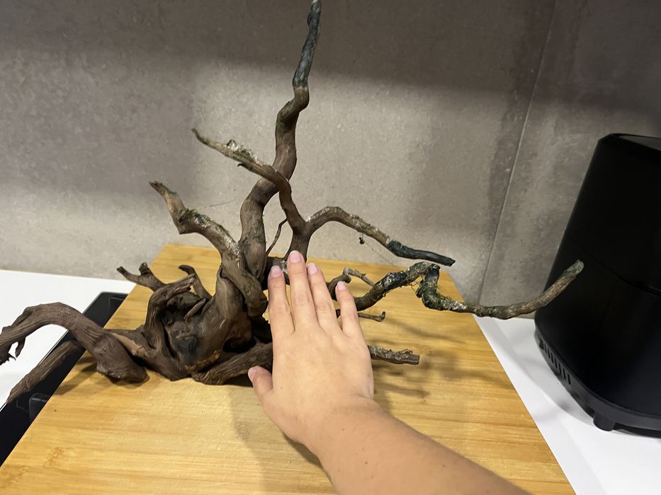 Troncos para aquário/terrário