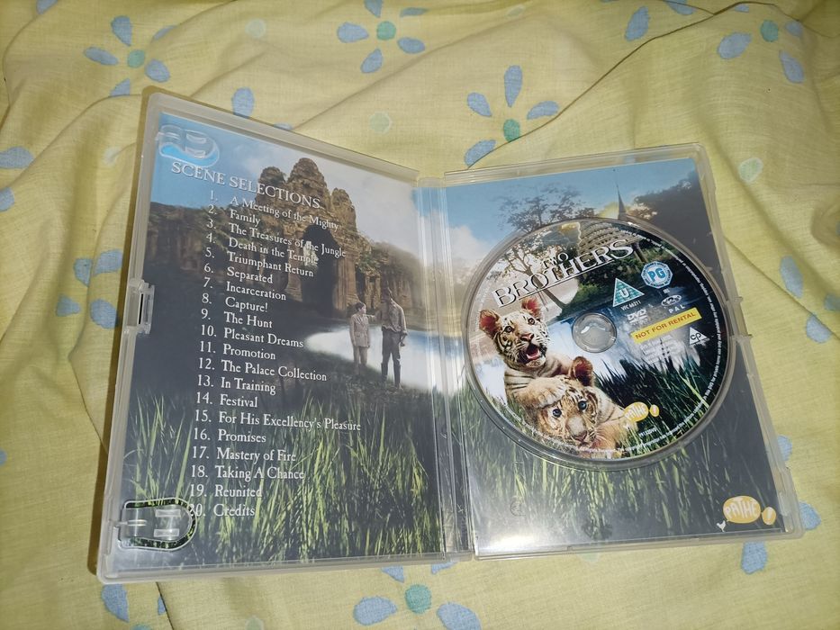 Dois irmãos _filme dvd