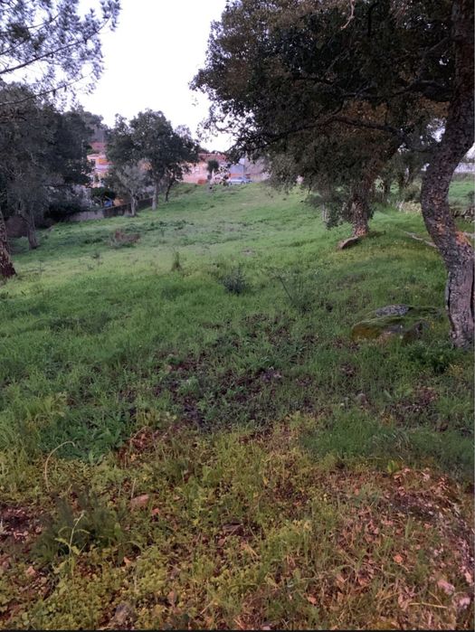Terreno em Vale de Lobos (Sintra)