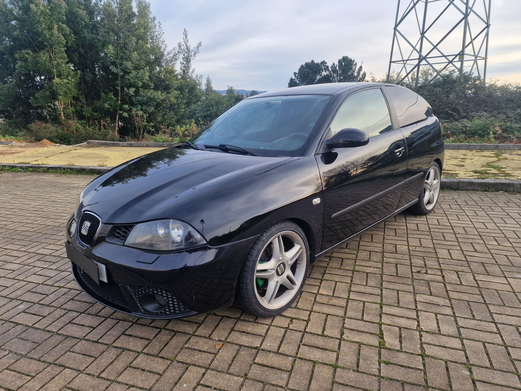 Seat Ibiza 6L 1.9 TDI PD130 ASZ