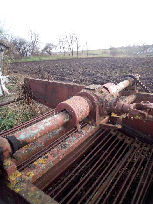 Картоплекопачка Білоруська