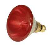 Promiennik żarówka kwoka lampa 100W Kerbl czerwona