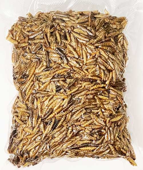 Balmax, Suszone larwy Hermetii / dried larvae Hermetia / 800g.