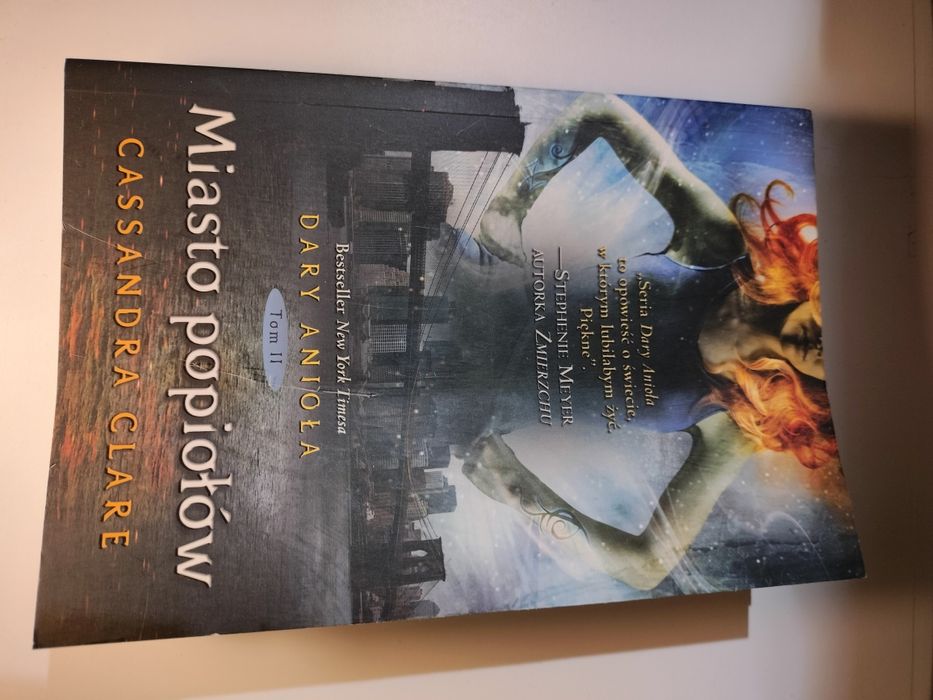 Książka Miasto popiołów