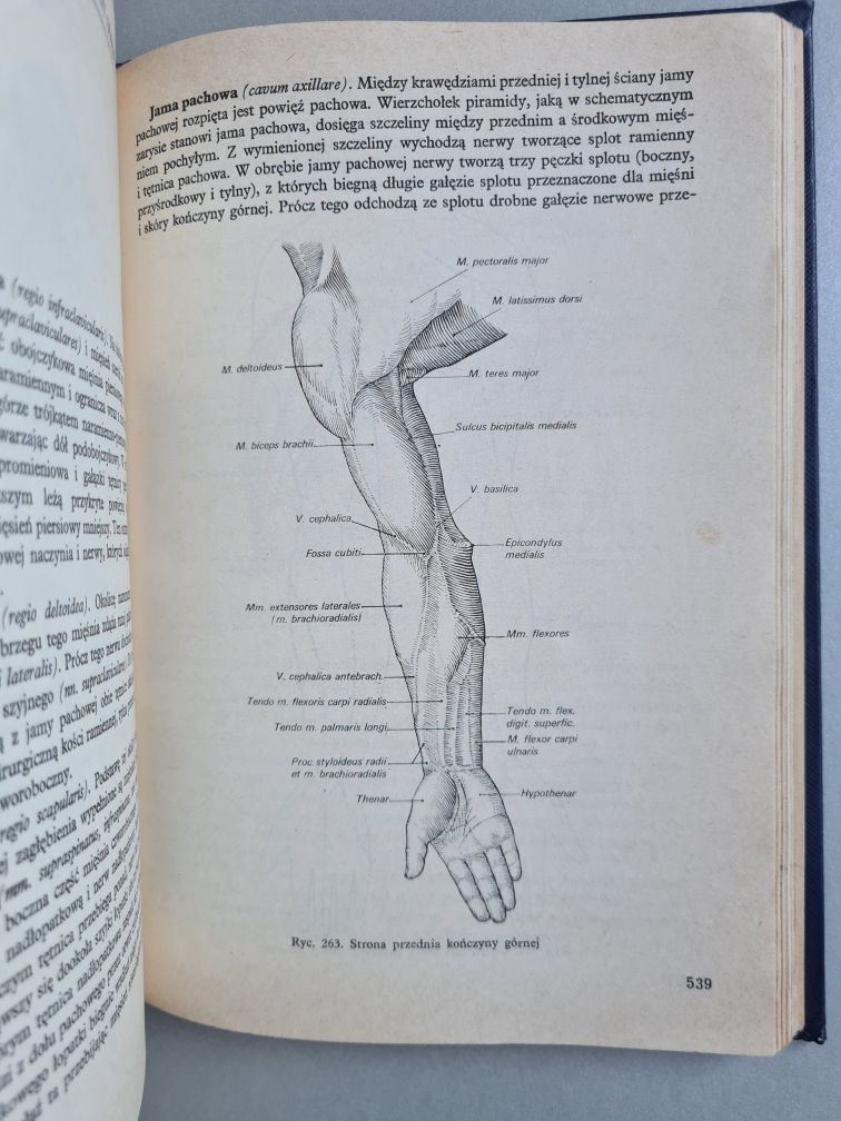 Zarys anatomii człowieka - A.Krechowiecki, F.Czerwiński