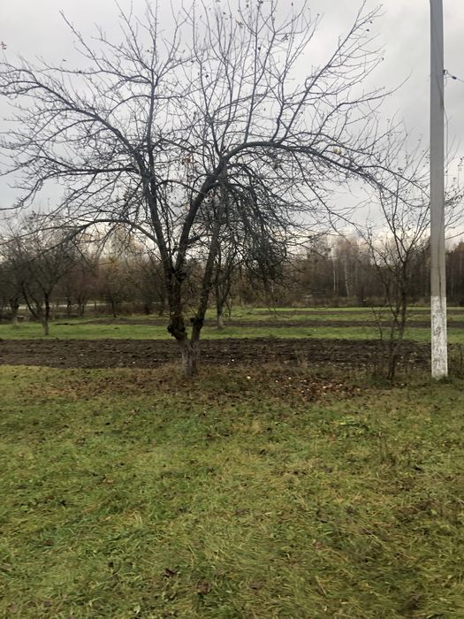 Продам будинок в смт. Соснове