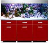 Zestaw Fenix Reef z akwarium 300 litrów 120/50/50 cm szyba 10 mm full
