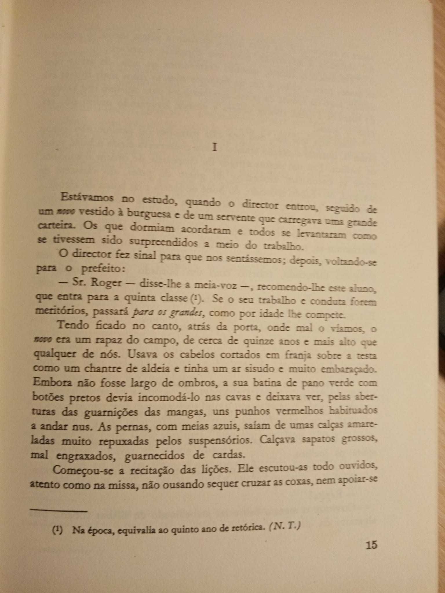 Madame Bovary, Flaubert, romance da luta contra o tédio no casamento