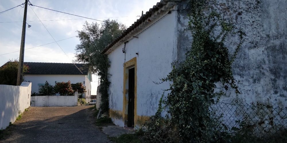 Terreno e Casa em Mouriscas - Abrantes