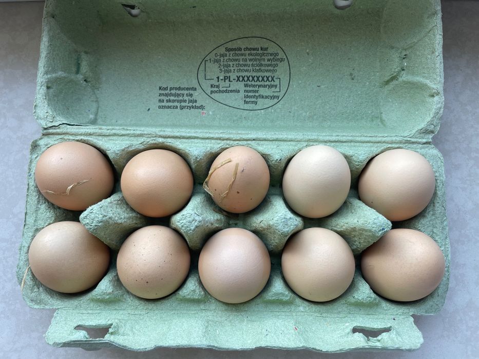 Jaja jajka świeże przydomowy kurnik ekstra świeże